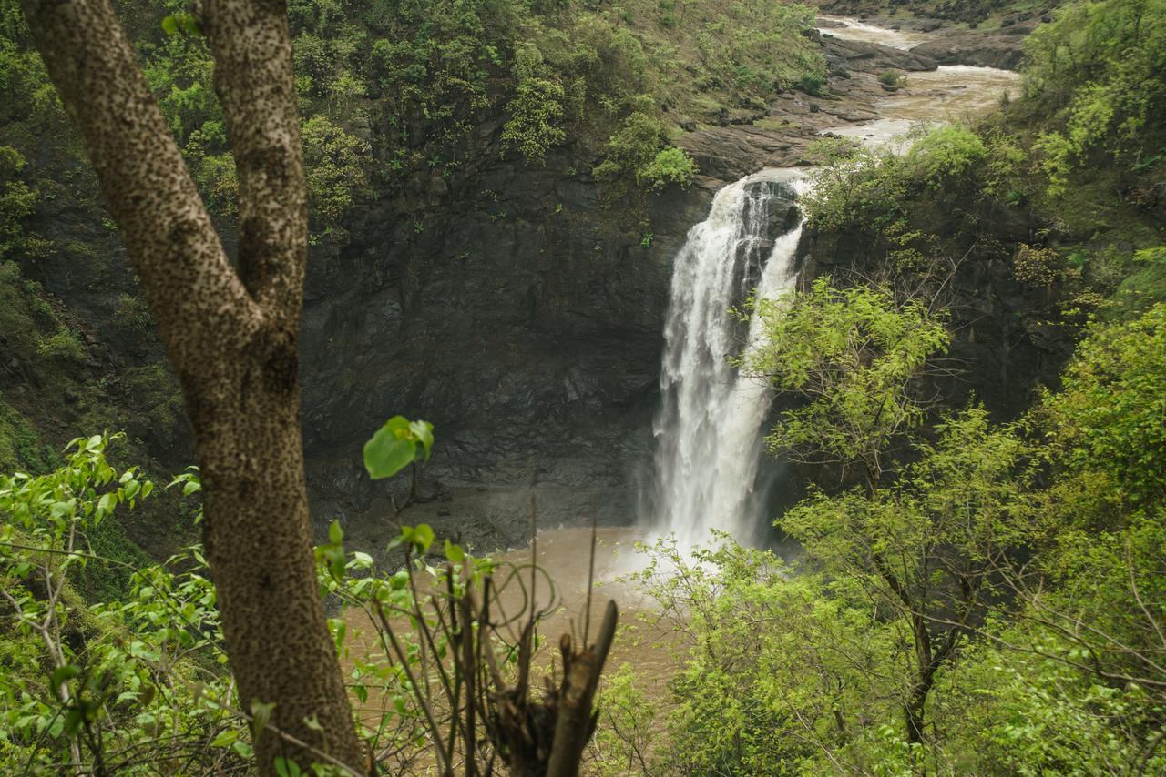 Sterling Nature Trails Dabhosa , Jawahar Birjpara Kültér fotó
