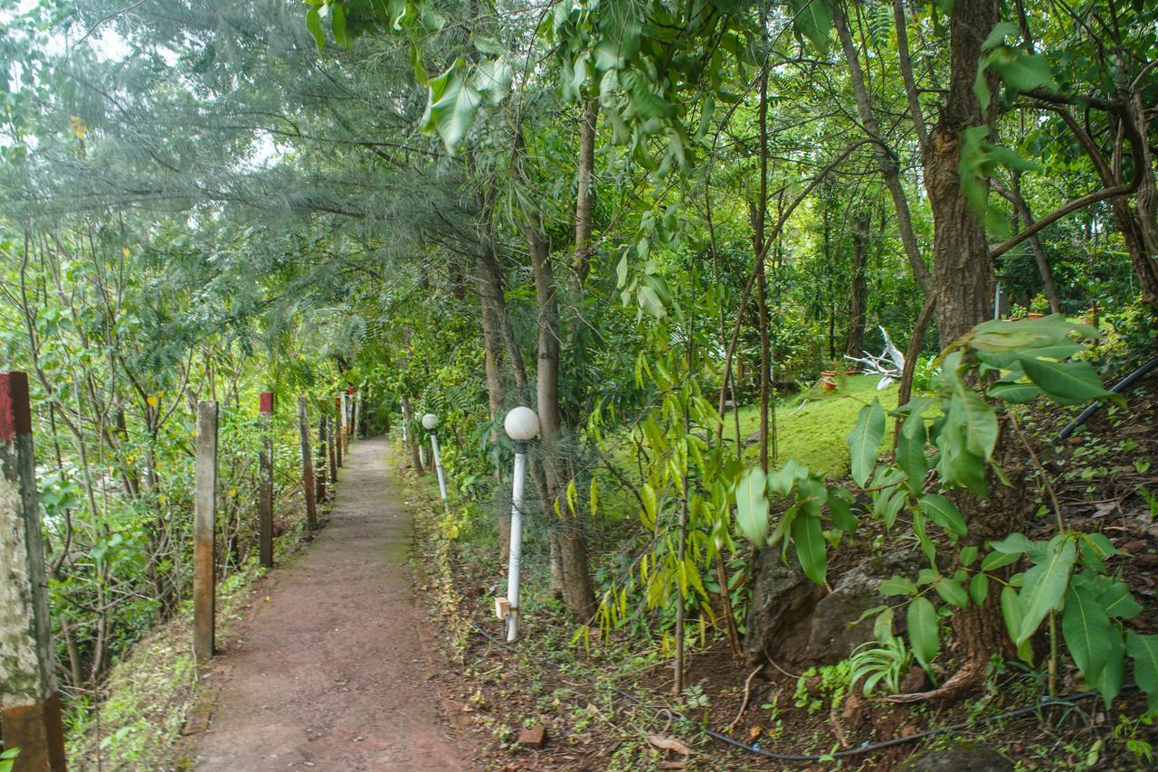 Sterling Nature Trails Dabhosa , Jawahar Birjpara Kültér fotó